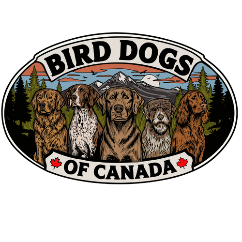 Bird Dogs Of Canada
